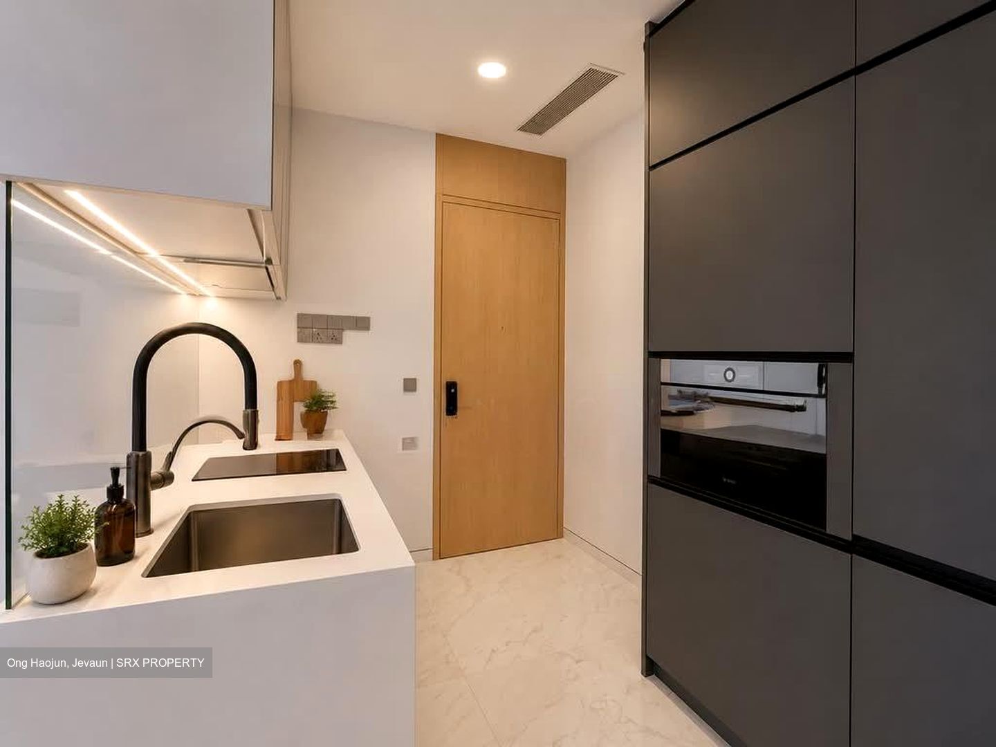 Scotts Road (D9), Condominium #565598431